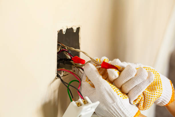 Best Electrical Panel Upgrades  in Tuscoosa, AL